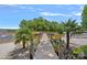 Picturesque dock with palm trees along the shoreline and leading to a tranquil lake at 17938 John Connor Rd, Cornelius, NC 28031