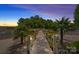 Scenic lake view featuring a wooden walkway with palm trees and lights leading to a serene waterfront at 17938 John Connor Rd, Cornelius, NC 28031