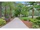 Long driveway leading to a secluded home surrounded by mature trees and landscaping at 2200 Capes Cove Dr, Sherrills Ford, NC 28673