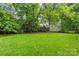 Lush backyard with a well-maintained lawn, mature trees, and a playset at 2414 Bay St, Charlotte, NC 28205