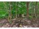 Wood storage shed nestled in the woods, providing ample space for lawn equipment and garden tools at 705 Moss Creek Dr, Matthews, NC 28105