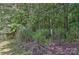 Wooded backyard showing the back of the property and the tree line at 705 Moss Creek Dr, Matthews, NC 28105