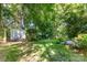 A lush backyard with a storage shed, mature trees, and greenery, offering a private and peaceful outdoor retreat at 7226 Reedy Creek Rd, Charlotte, NC 28215