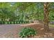 Backyard featuring a tree providing ample shade and a well-maintained fence at 9750 Briarwick Ln, Charlotte, NC 28277