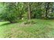 Lush backyard with mature trees, garden beds, and a well-manicured lawn at 10322 Stoneykirk Ln, Charlotte, NC 28269