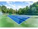 Well maintained tennis courts with lush green surroundings, perfect for an active lifestyle at 10322 Stoneykirk Ln, Charlotte, NC 28269