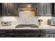 Modern kitchen featuring granite countertops, stainless steel appliances, and dark wood cabinets at 13102 Indigo Run Ct, Charlotte, NC 28278