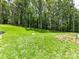 Expansive green backyard with lush lawn and mature trees creating a private outdoor oasis at 167 Greenbay Rd, Mooresville, NC 28117