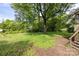 Backyard with mature shade trees and small green ground cover at 208 N School St, Mount Gilead, NC 27306