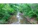 Scenic creek surrounded by lush greenery and mature trees, enhancing the property's natural beauty at 2448 Moss Farm Rd, Hickory, NC 28602