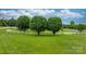 Open green field featuring three shade trees and elegant white fencing at 2448 Moss Farm Rd, Hickory, NC 28602
