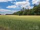 Scenic view of the property's expansive wheat field, showcasing the natural beauty at 3409 Valdosta Ct, Monroe, NC 28110