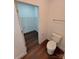 This bathroom offers modern fixtures, a toilet, and a walk-in closet with metal shelving at 401 Constant Ln, Charlotte, NC 28722