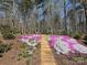 Landscaped backyard featuring stone steps surrounded by vibrant flowers and mature trees at 5812 Dinsmore Ln, Belmont, NC 28012