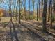Wooded lot with mature trees and natural ground cover provides a private setting at 7154 Woodcock Trl, Stanley, NC 28164