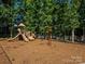 A wonderful community playground with swings and slides, set in a mulched area at 8818 Artesa Mill Ln, Charlotte, NC 28214