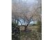 Large cherry tree in full bloom, surrounded by a lush green landscape and bird bath at 116 Lanes End Rd, Locust, NC 28097