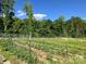 Exterior view of an in-ground vegetable garden with fencing and trees in the background at 1230 Long Creek Ln, Salisbury, NC 28146
