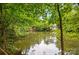 Picturesque view of a serene pond surrounded by lush greenery, creating a peaceful ambiance at 8014 Sherington Way, Charlotte, NC 28227