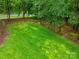 Large grassy backyard bordered by mature trees at 8527 Foxbridge Dr, Matthews, NC 28104