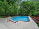 Enjoy a backyard with a large in-ground pool surrounded by a concrete patio and lush greenery at 8527 Foxbridge Dr, Matthews, NC 28104
