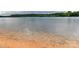 Calm lake waters with a sandy shore on a sunny day, showcasing the waterfront lifestyle at 930 Jetton St, Davidson, NC 28036
