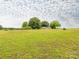 Expansive lot, showing a residence surrounded by grassy ground and mature trees at 1325 Marshville Olive Branch Rd, Marshville, NC 28103