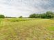 Scenic vacant land featuring green grass and trees under a partly cloudy sky, ideal for development at 1325 Marshville Olive Branch Rd, Marshville, NC 28103