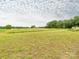 Expansive vacant land showcasing open fields and lush green trees under a beautiful cloudy sky at 1325 Marshville Olive Branch Rd, Marshville, NC 28103