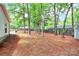 Wide backyard showing towering trees and a privacy fence, surrounded by vibrant greenery at 3708 Sweetgrass Ln, Charlotte, NC 28226