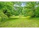 Picturesque backyard featuring a sprawling lawn framed by mature trees, offering privacy and shade at 4569 Edgeland Rd, Edgemoor, SC 29712