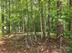 Wooded lot entrance with a decorative wagon wheel and number sign on a tree at 490 Deberry Rd, Mount Gilead, NC 27306