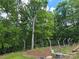 A beautiful yard surrounded by lush trees, a greenhouse and propane tank at 490 Deberry Rd, Mount Gilead, NC 27306