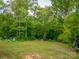 Large, grassy backyard with trees, perfect for outdoor activities at 105 Peridot Dr, Statesville, NC 28625