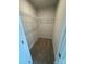 Walk-in closet features wire shelving and carpeted floor at 110 Browband St, Troutman, NC 28166