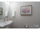 Stylish half bathroom featuring a pedestal sink, mirror, and modern watercolor painting at 1707 Cannon View Ln, Charlotte, NC 28208