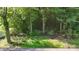 View of lush greenery in backyard with mature trees from rooftop, creating a tranquil outdoor setting at 2026 Willow Ridge St, Conover, NC 28613
