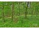 Lush greenery and mature trees create a private and tranquil wooded area surrounding the property at 2630 Mary Butler Way, Charlotte, NC 28226