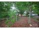 Backyard with mature trees, foliage, and a glimpse of the house and shed at 3016 Boston Ave, Charlotte, NC 28212