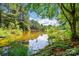 Scenic view of a serene pond surrounded by lush greenery, trees, and reflective water under a blue sky at 1030 Pinehurst Ln, Fort Mill, SC 29707