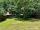 The backyard features an expanse of green grass and shade at 13913 Pinyon Pine Ln, Charlotte, NC 28215