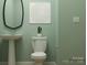 Chic bathroom featuring a pedestal sink, toilet, and modern fixtures against green walls at 3882 Horsham St, Indian Land, SC 29707