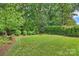 Large, beautifully maintained backyard with lush green grass and manicured landscaping at 7428 Edenbridge Ln, Charlotte, NC 28226