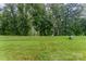 Picture of a green lawn in the backyard lined with tall lush green trees in a beautiful yard at 829 River Park Rd, Belmont, NC 28012