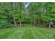 Expansive backyard featuring manicured lawn and surrounded by mature trees at 1402 Coachman Dr, Waxhaw, NC 28173