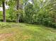 Lush backyard featuring mature trees, green grass, and a partially wooded area for privacy at 2401 Wensley Dr, Charlotte, NC 28210