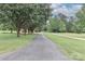 Long, paved driveway leading to a home surrounded by mature trees and a lush, green lawn at 443 Troutman Farm Rd, Statesville, NC 28677
