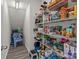 Walk-in pantry with wire shelving, providing ample storage space at 5625 Axil Ln, Charlotte, NC 28269