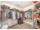 Walk-in closet featuring built-in organizers, ample hanging space, and carpet flooring at 12832 Heath Grove Dr, Huntersville, NC 28078