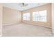 Bright bedroom featuring neutral walls, plush carpeting, and abundant natural light from double windows at 14104 Kendrick Cross Rd, Charlotte, NC 28273